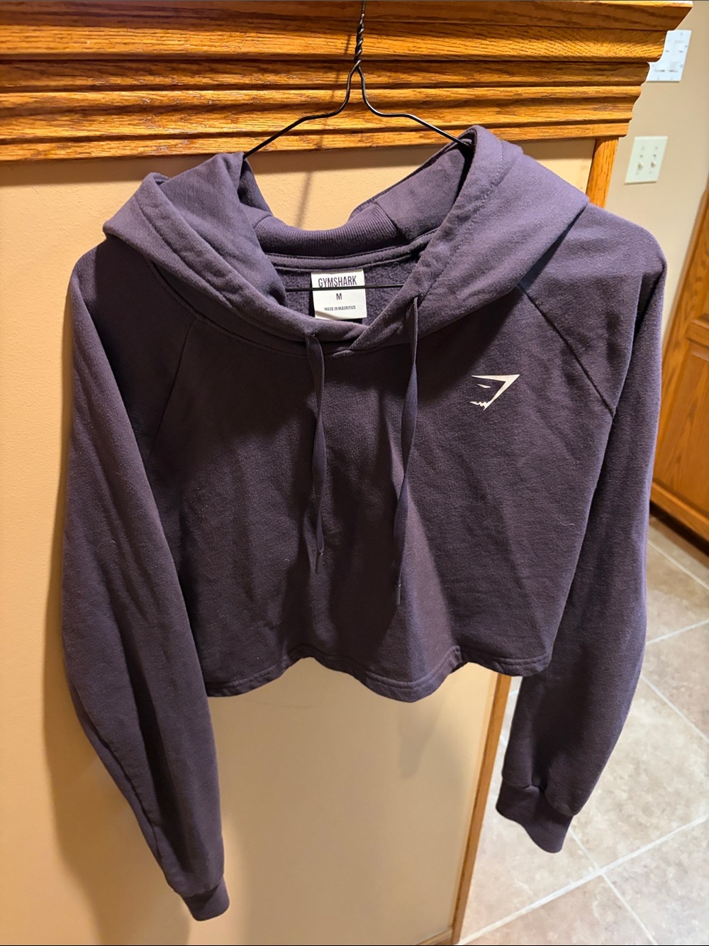 Gymshark Cropped Hoodie in Deep Plum